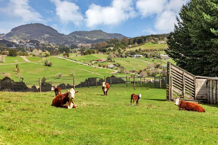 Lot 2, 106 Totara Park Lane Glenbervie_31