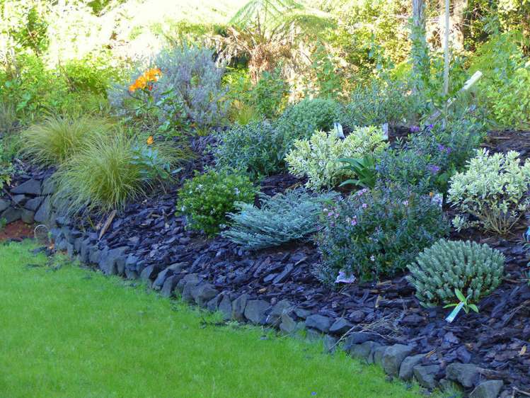 53 Kitewaho Road Swanson_88