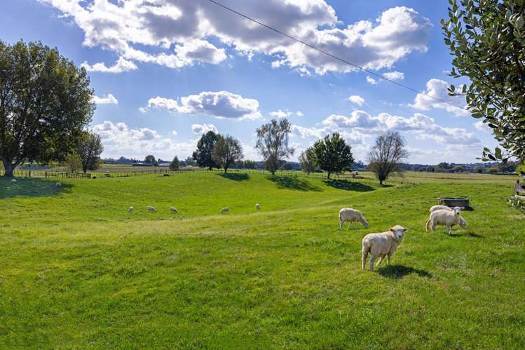 81 McGhie Road Te Awamutu_32