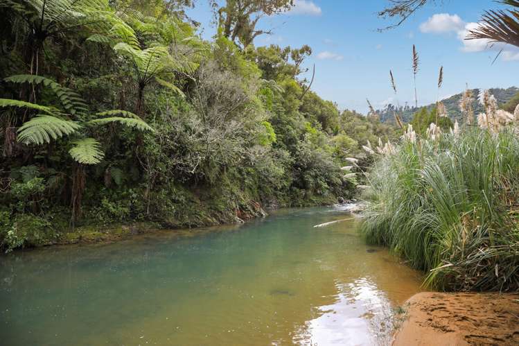 495 Kopu Hikuai SH 25A Thames-coromandel_9