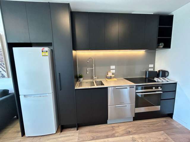 Gorgeous BRAND NEW Furnished One bedroom with ...