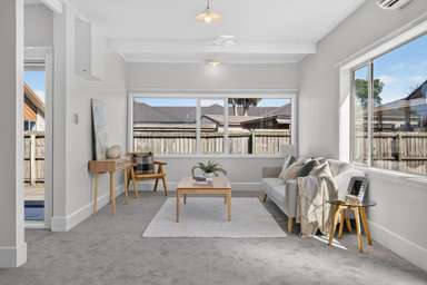 165A Brougham Street_1