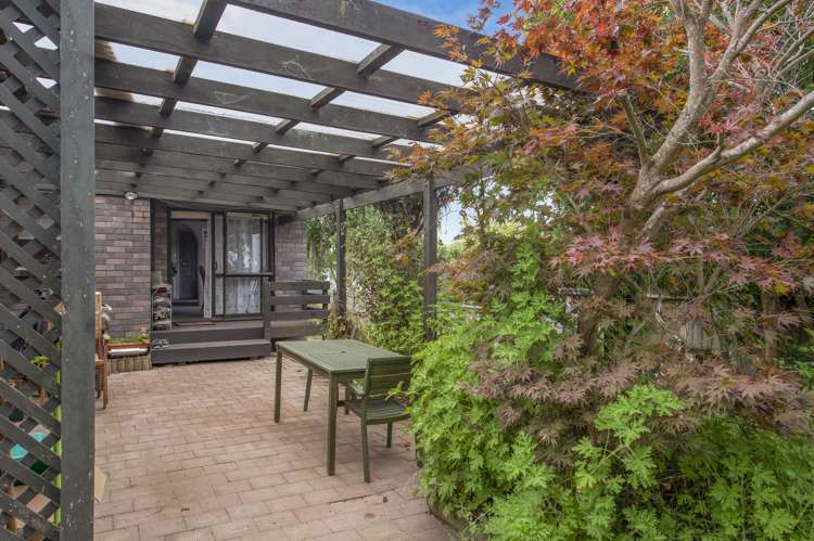 10 Tupelo Street Pukete_11