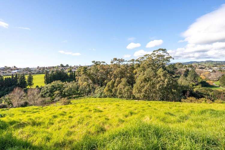 99 Carmen Way Ohauiti_16