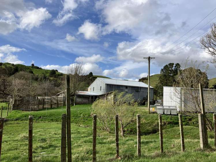 3764 Pohangina Road Utuwai_14