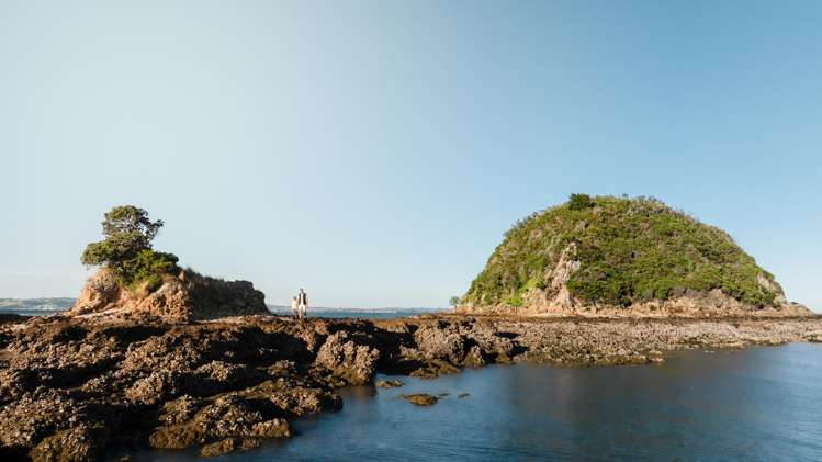 40 Rothschild Terrace Waiheke Island_12