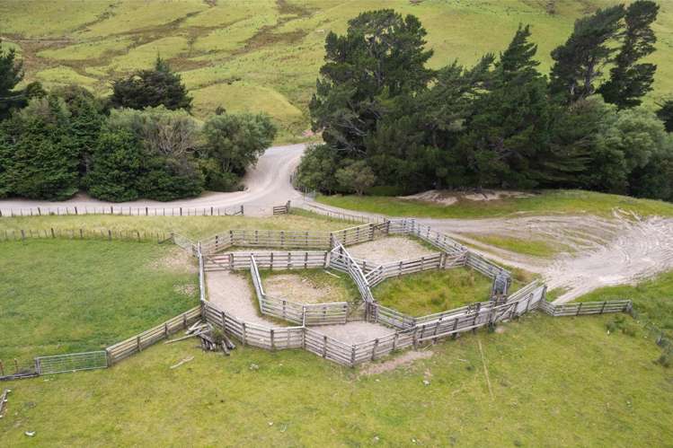 83 Towai Road Dannevirke_15