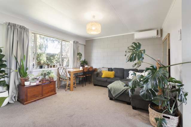 2/112 Roy Street Palmerston North_2