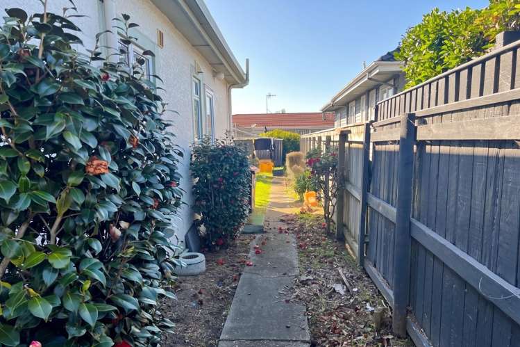 2/33 Puriri Terrace Roslyn_15