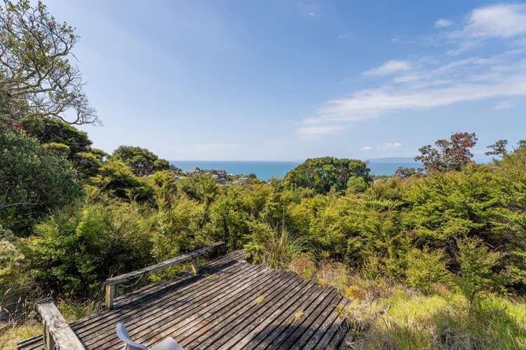 35B Cuvier Crescent Kuaotunu_16