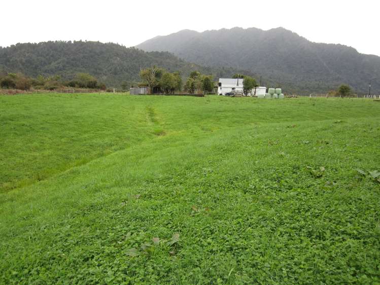 136 Charming Creek Road Seddonville_19