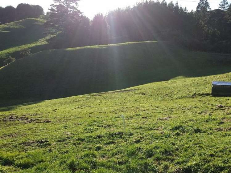 103 Kupara Road Ratapiko_11