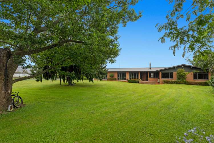 89 Mccracken Road Edgecumbe_30