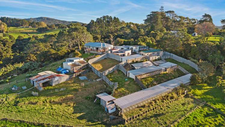 23 Waitakere Road Waitakere_21