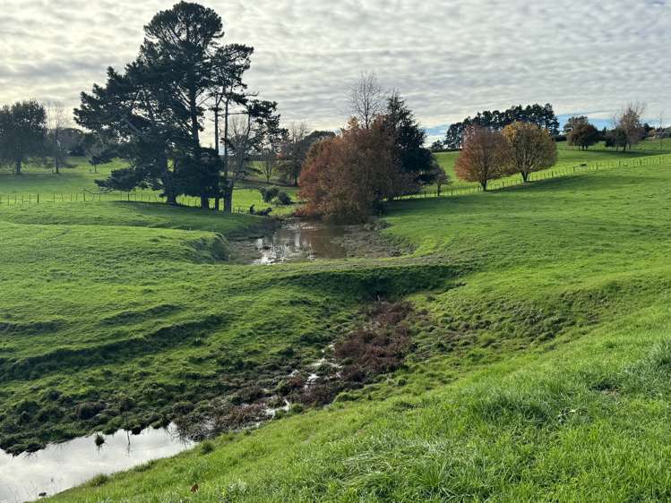 2070 Kakaramea Road Ngahinapouri_30