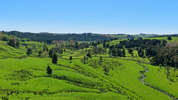 246 Allen and Eyre Road Onewhero_21