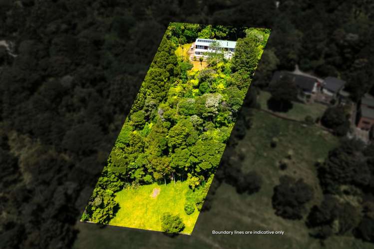 260 School Road Waimauku_30