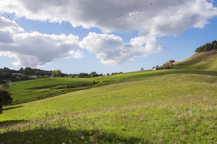 278 Pigs Head Road Hikurangi_15