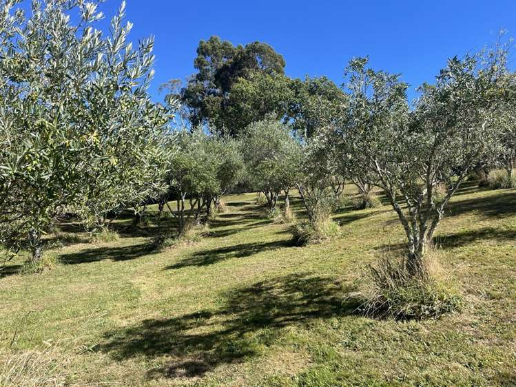 127D Ridgeview Road Redwood Valley_5