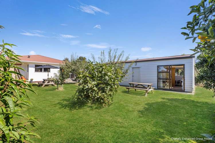 84 college street Motueka_19