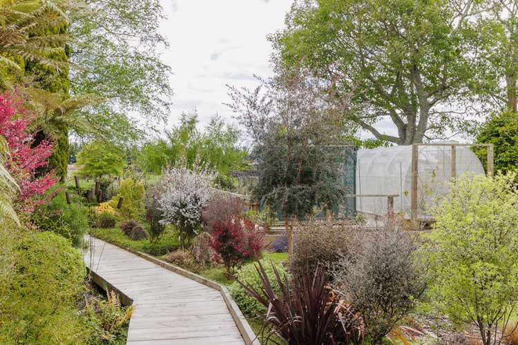 17 Paterson Street Pahiatua_20