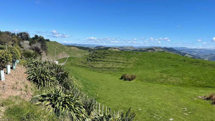 1845 Kanakanaia Road Whatatutu_3