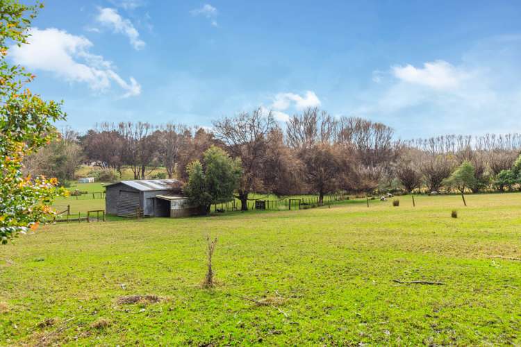 1579 Dairy Flat Highway Dairy Flat_17