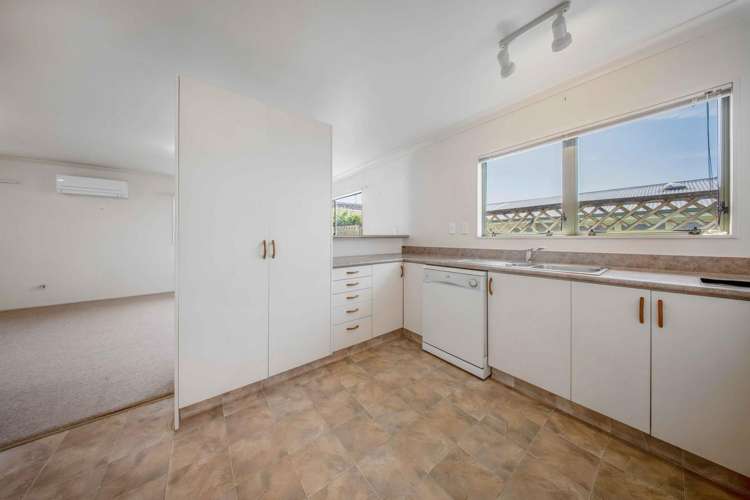 723C Cameron Road Tauranga South_8