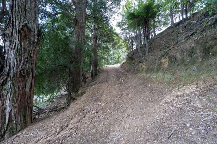 229 Hupara Road Pakaraka_13