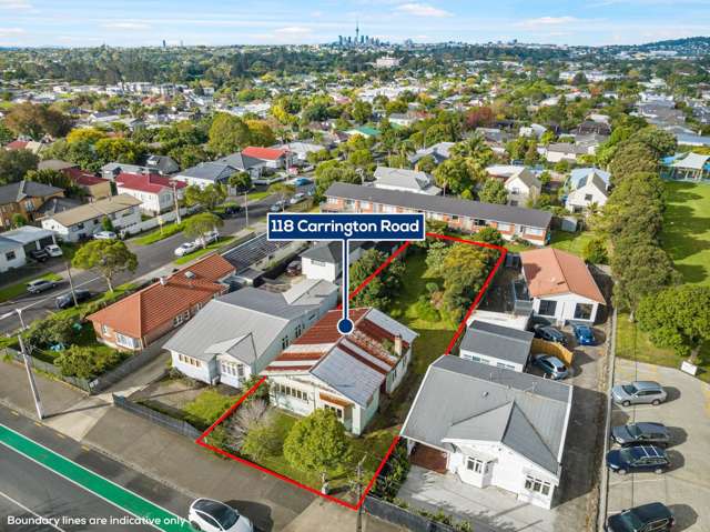 118 Carrington Road Mount Albert_3