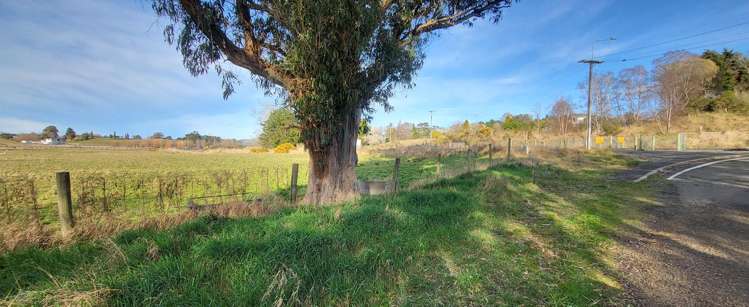 35 Edinburgh Street Waikouaiti_7