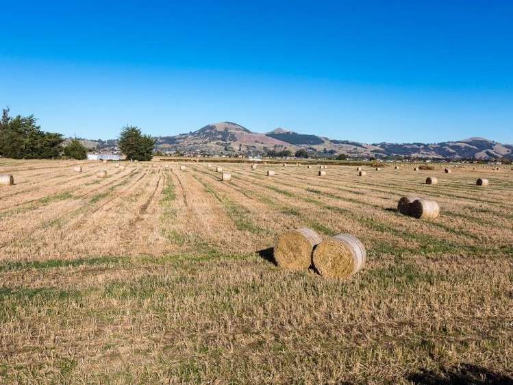 257 Gordon Road Mosgiel_5