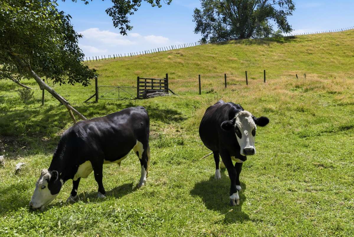 Lot Lot 2/71 Link Road_2