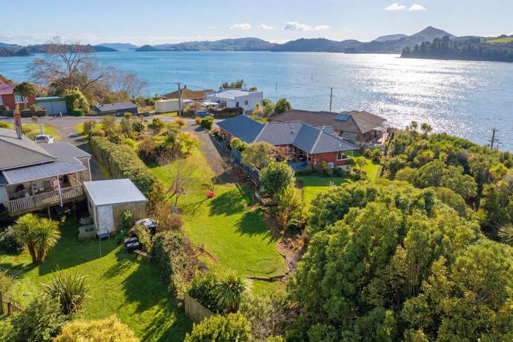 3A Weka Street Saint Leonards_1