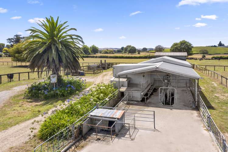 854b Tauwhare Road Tauwhare_3