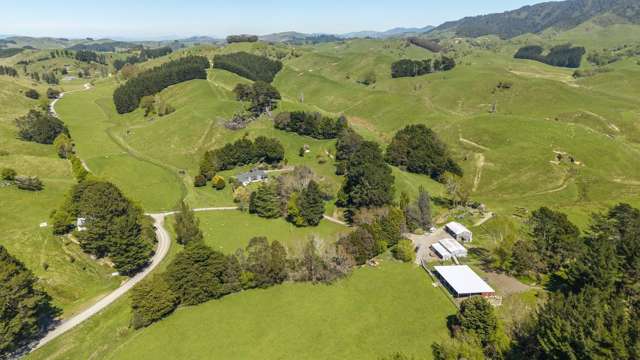 329 North Road Masterton_2