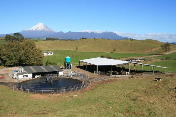 688 Junction Road Burgess Park_21