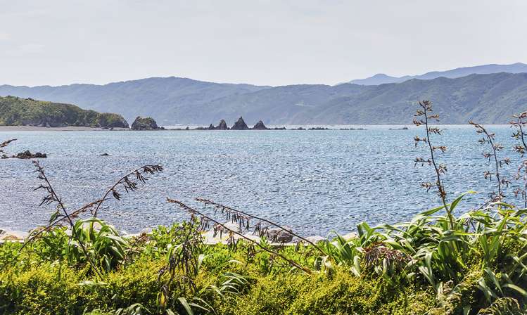 167 Breaker Bay Road Breaker Bay_18