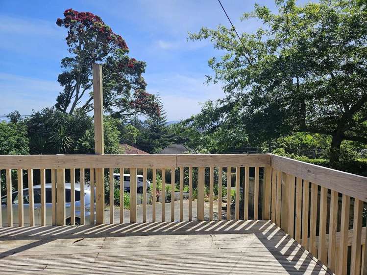 6 Simmonds Avenue Mount Roskill_12