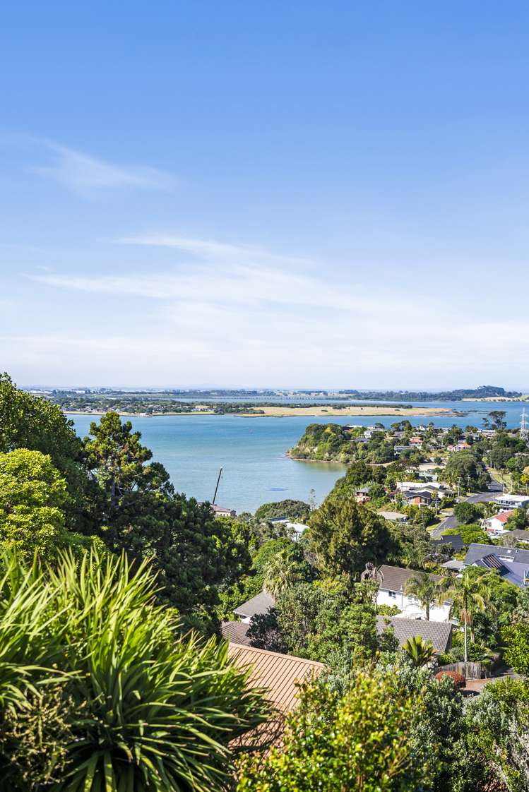 65 Carlton Street Hillsborough_11