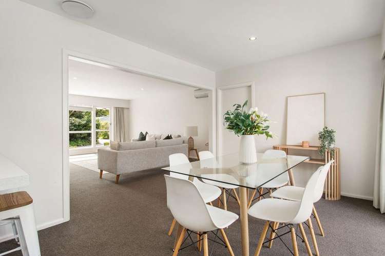 24B Stratford Street Merivale_6