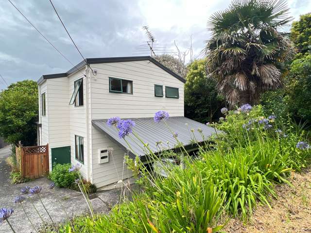 Spacious and sunny house in heart of Beach Haven.