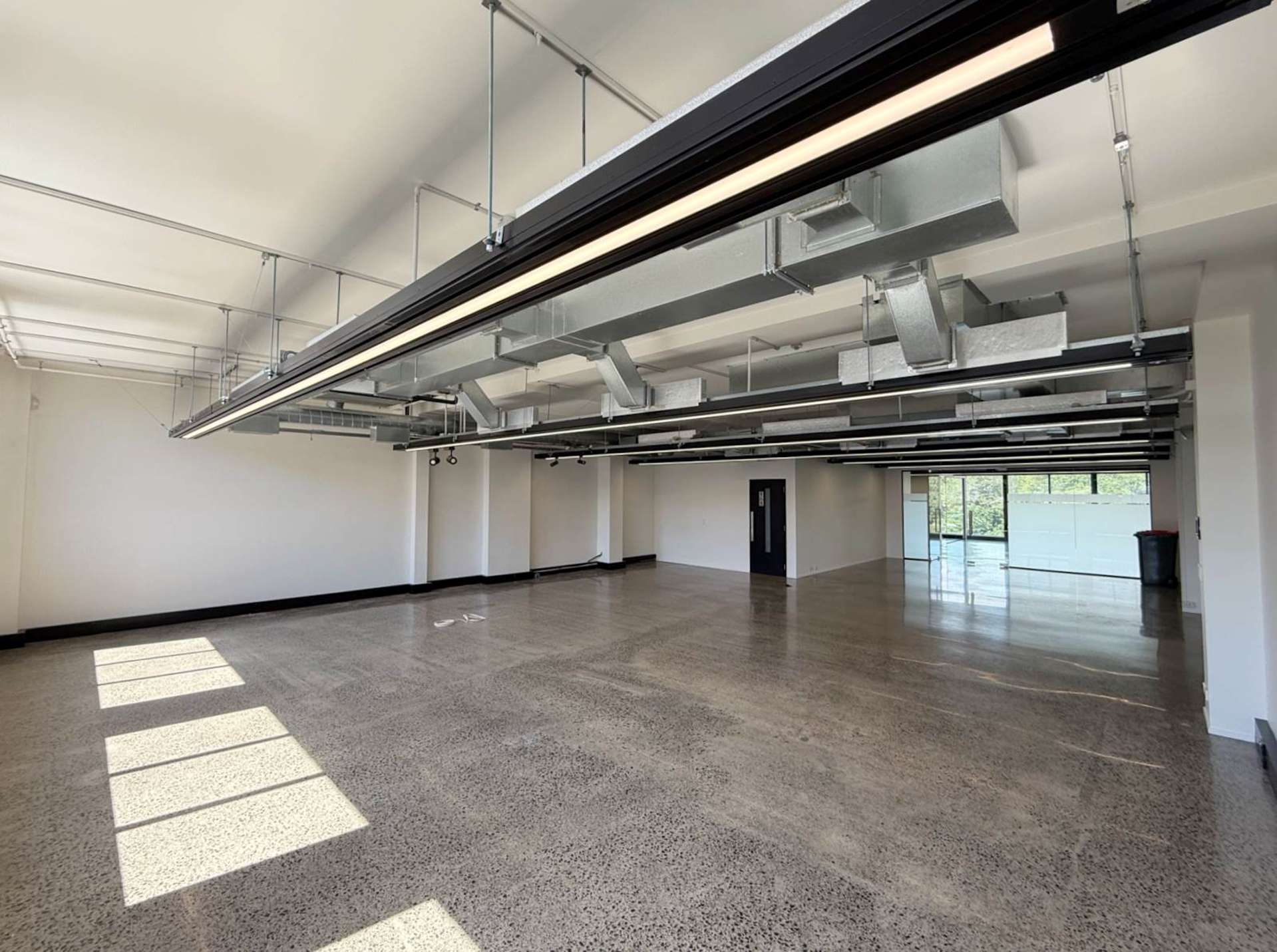 23 Falcon Street Parnell_0