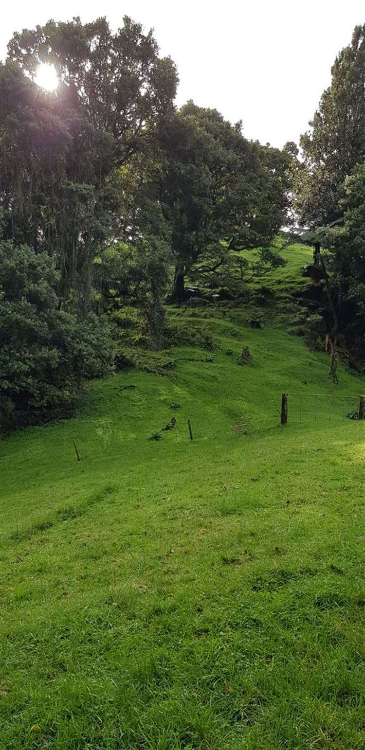 1415 Oparure Road Pomarangai_28