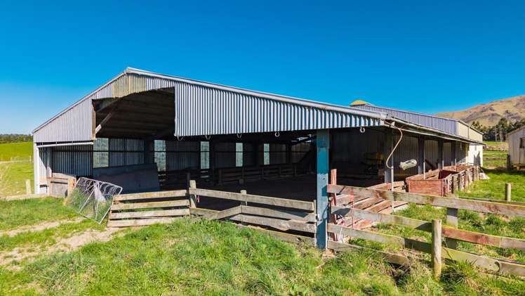 467 Waihaorunga Back Road Elephant Hill_9