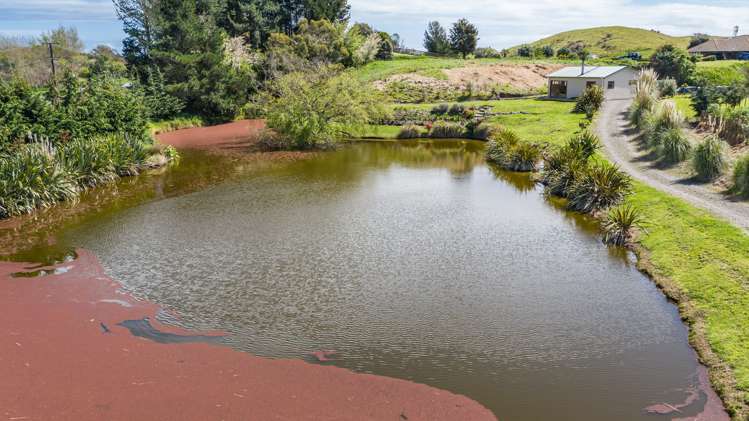 104 Hokio Sand Road Hokio Beach_16