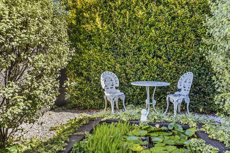 39a Bannerman Road Morningside_3