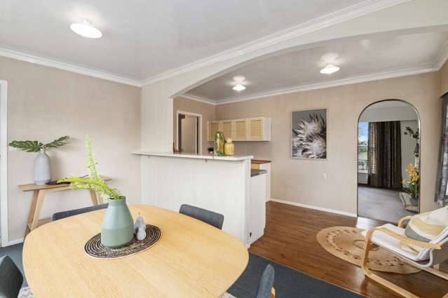 6 Ross Street Levin_3