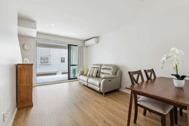 22 Akeake Lane Albany Heights_3