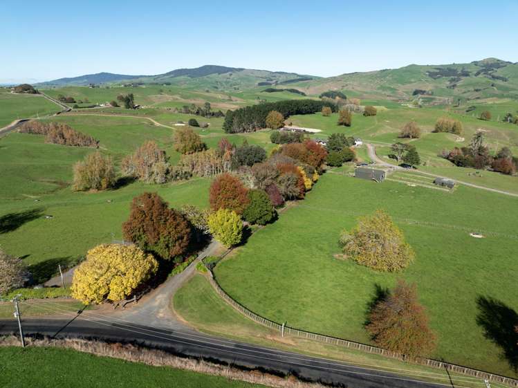 24 Waterworks Road Morrinsville_5